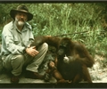 Terry with orang